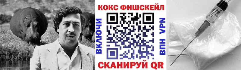 COCAIN Fish Scale Алексеевка
